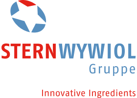 Stern-WywiolGruppe