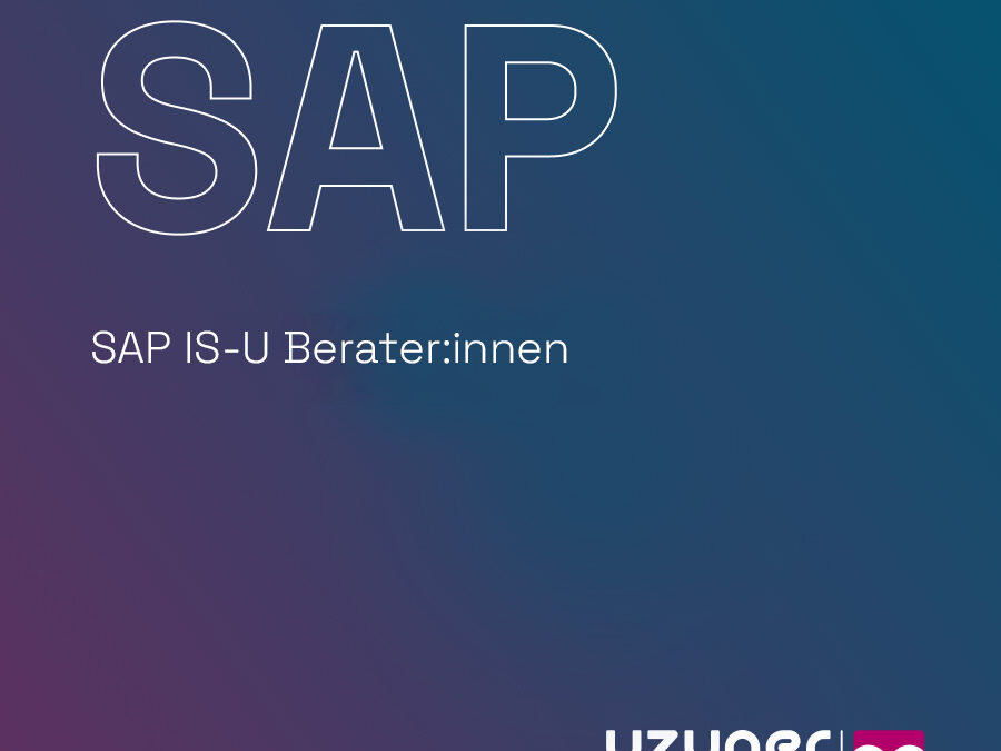 SAP IS-U Berater:innen – Schwerpunkt Abrechnung (w/m/d)